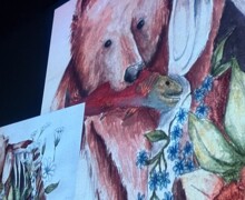 IMG 4643