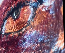 IMG 4648