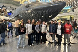 Natural history museum visit