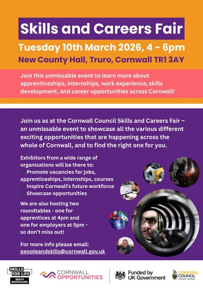 Skills and Career Fair Attendee Poster (2)