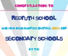 Gold Overall Secondary