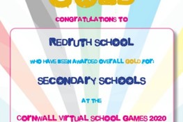 Redruth School Wins Gold at the Cornwall Virtual School Games