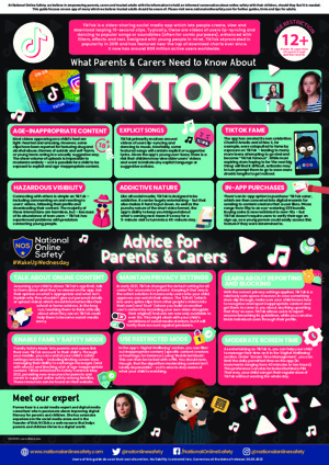 TikTok guide